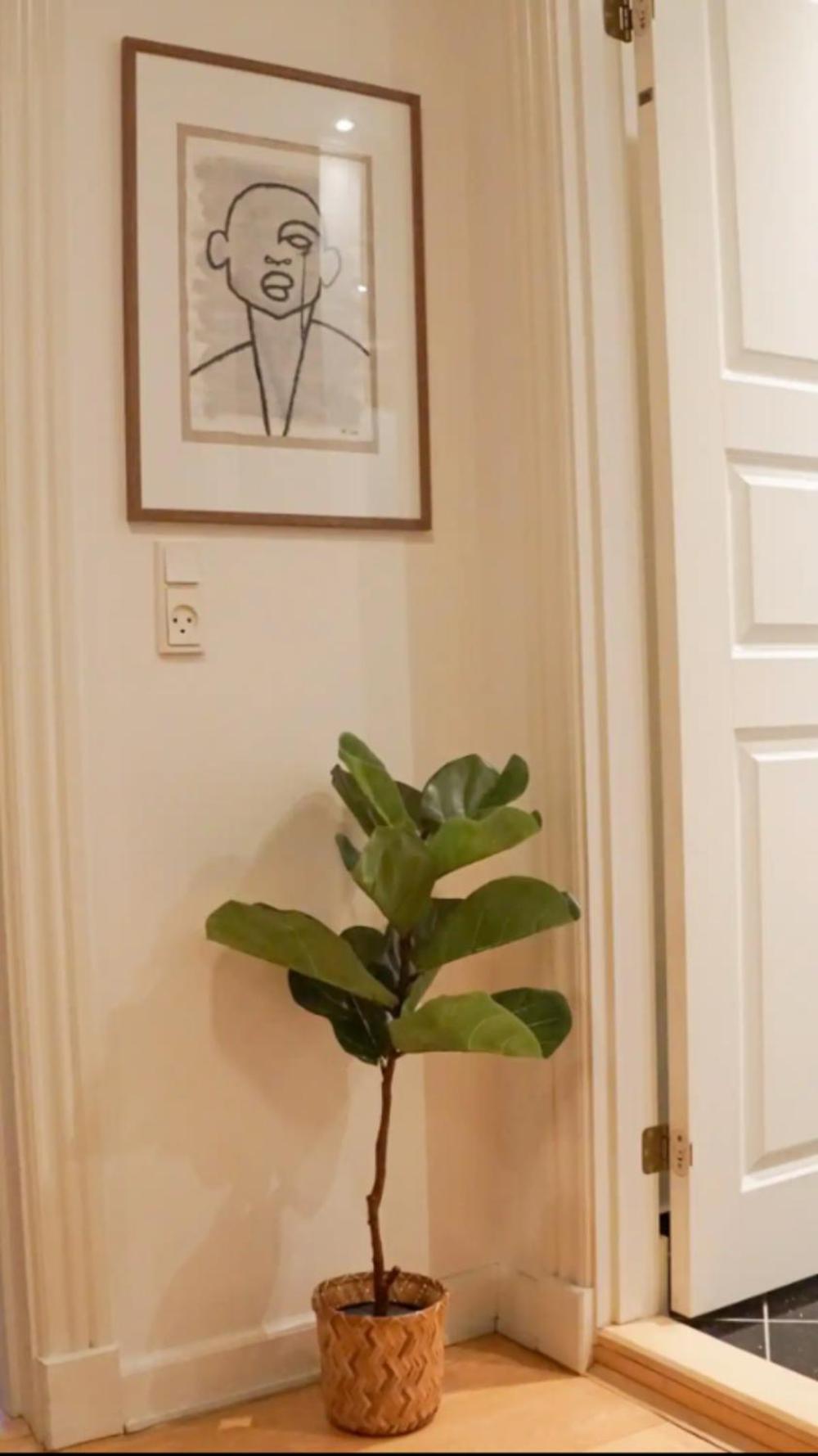 Luxurious Cph Flat A Location Apartment Copenhagen